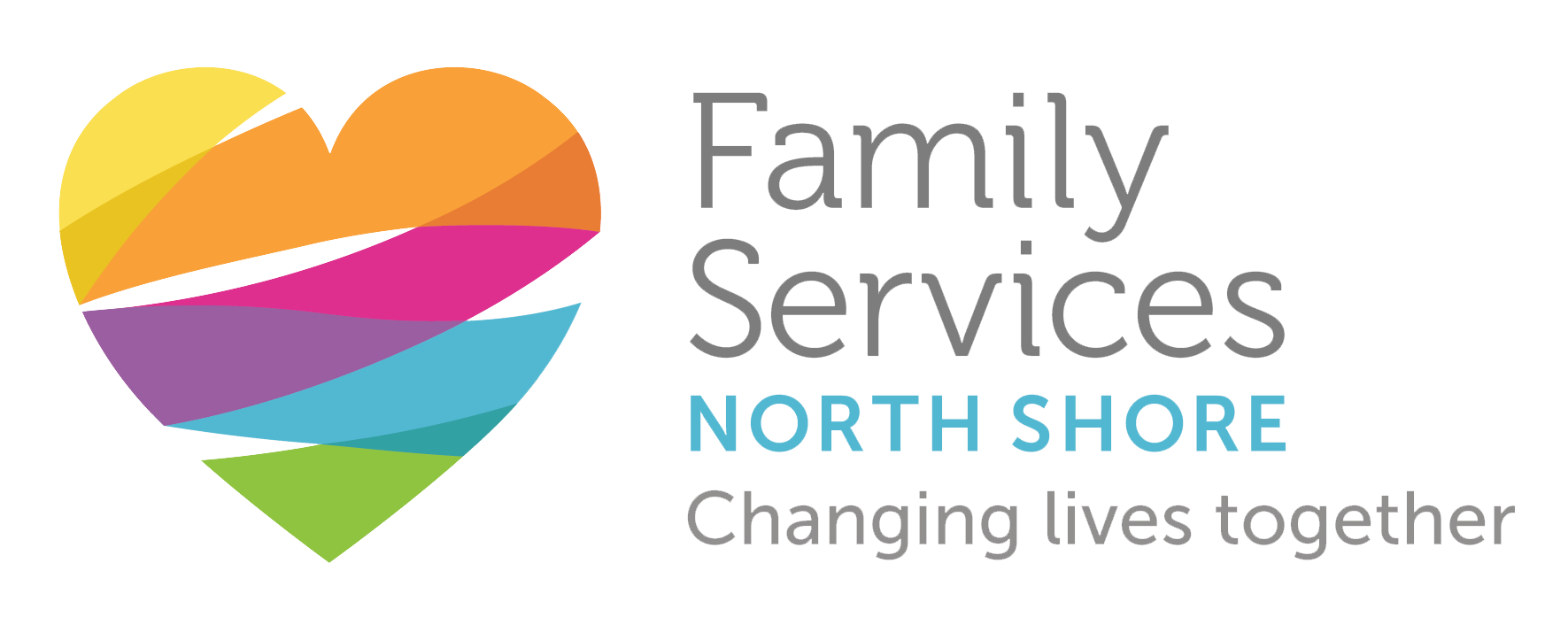 FSNS Logo2018 RGB Official Transparent Background